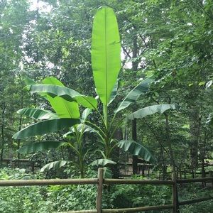 Meet your Posher, Cameron